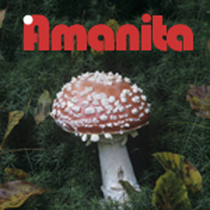 Amanita