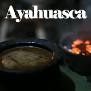 Ayahuasca