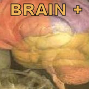 BrainPlus