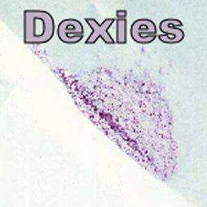 Dexies