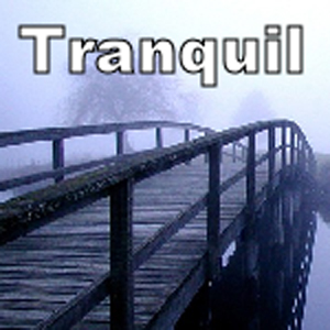 Tranquil